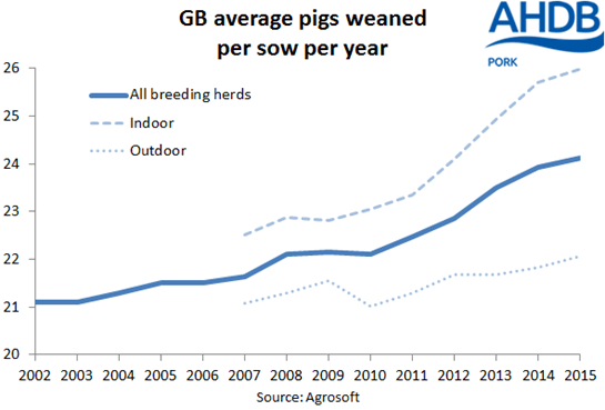 4-pigs-per-sow-chart