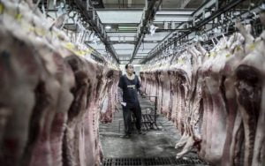 British pork exports help Communist China keep its people happy